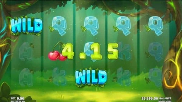 Wonder Woods automat - Najlepší casíno