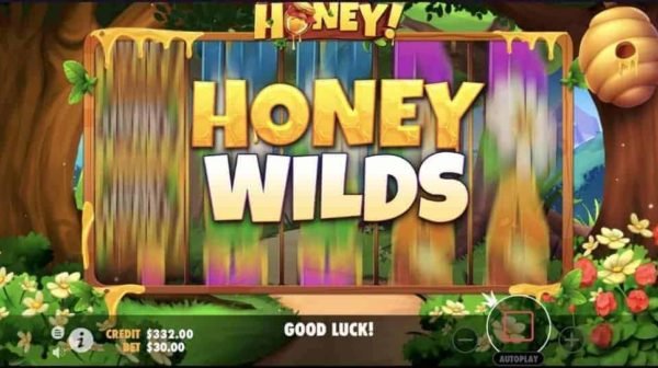 Honey Honey Honey automat zdarma
